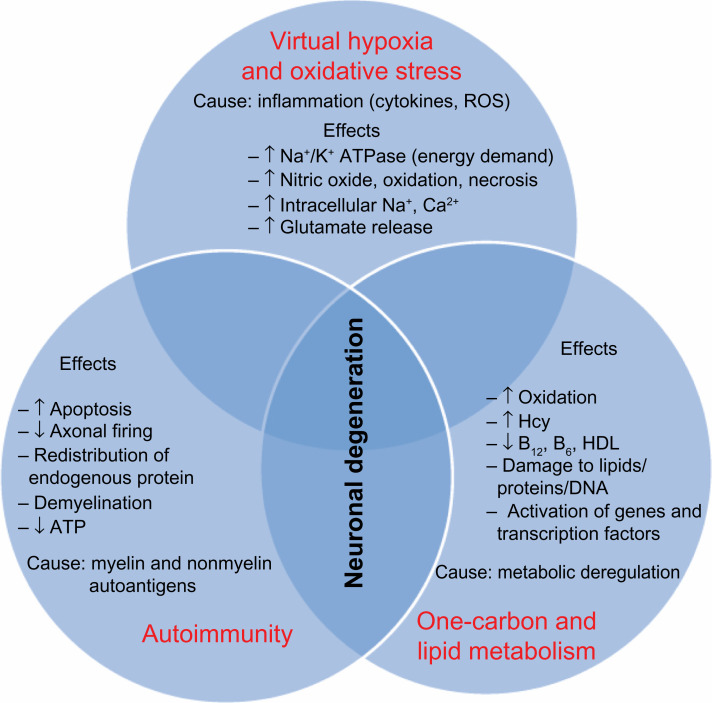 Neurodegeneration in multiple sclerosis involves multiple pathogenic mechanisms.