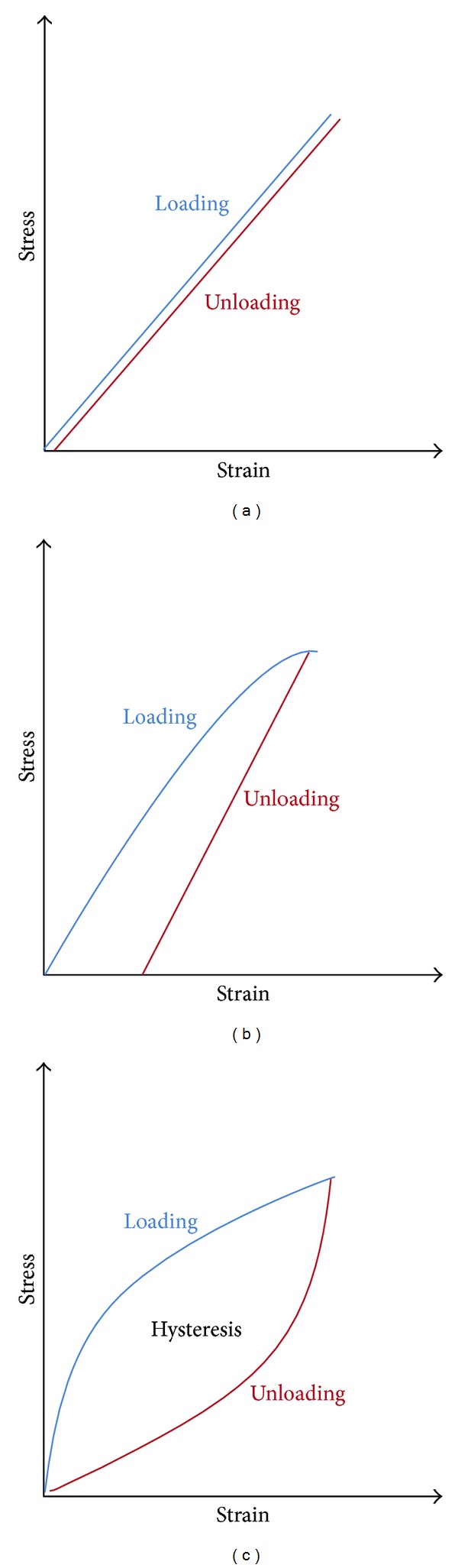 Corneal biomechanical properties in different ocular conditions and new measurement techniques.