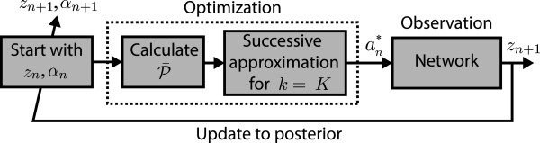 A comparison study of optimal and suboptimal intervention policies for gene regulatory networks in the presence of uncertainty.