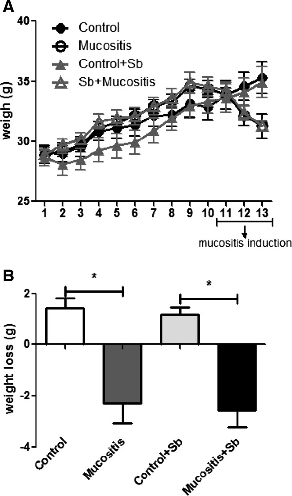 Pretreatment with Saccharomyces boulardii does not prevent the experimental mucositis in Swiss mice.