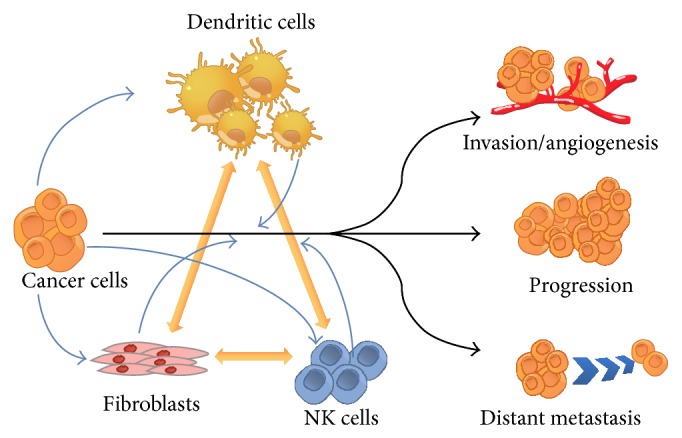 Tumor microenvironment: a new treatment target for cancer.