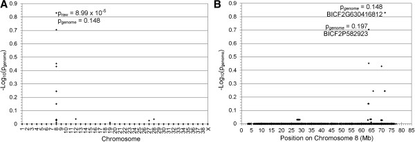 A novel mutation in TTC8 is associated with progressive retinal atrophy in the golden retriever.