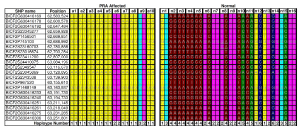 A novel mutation in TTC8 is associated with progressive retinal atrophy in the golden retriever.