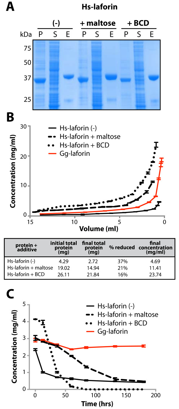 Expression, purification and characterization of soluble red rooster laforin as a fusion protein in Escherichia coli.