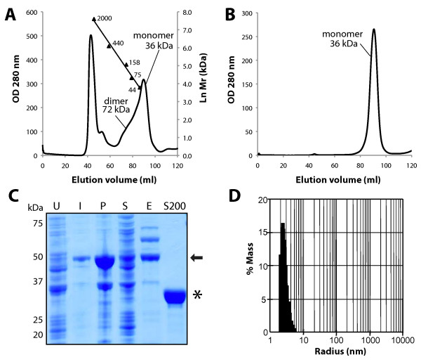 Expression, purification and characterization of soluble red rooster laforin as a fusion protein in Escherichia coli.