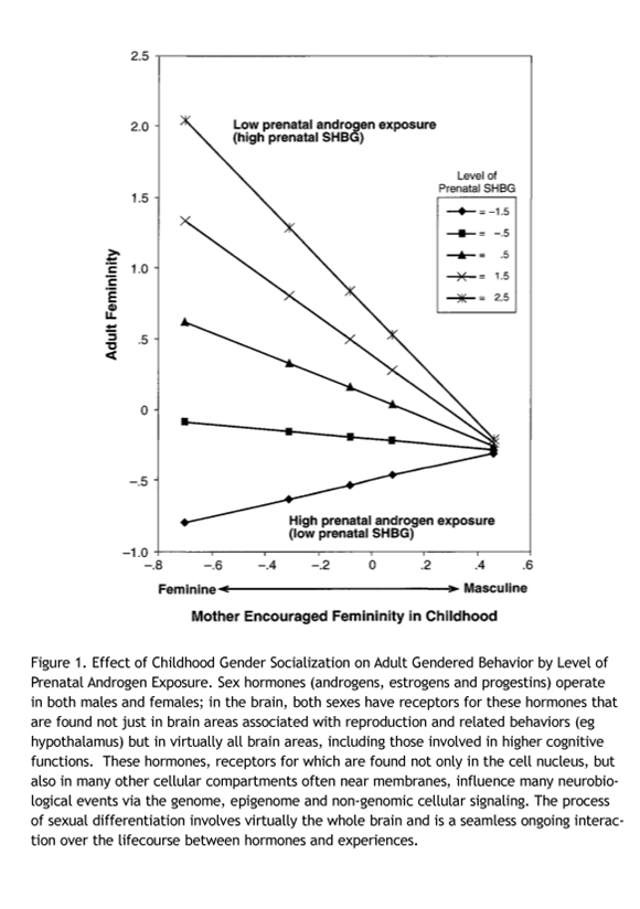 Equal ≠ the same: sex differences in the human brain.