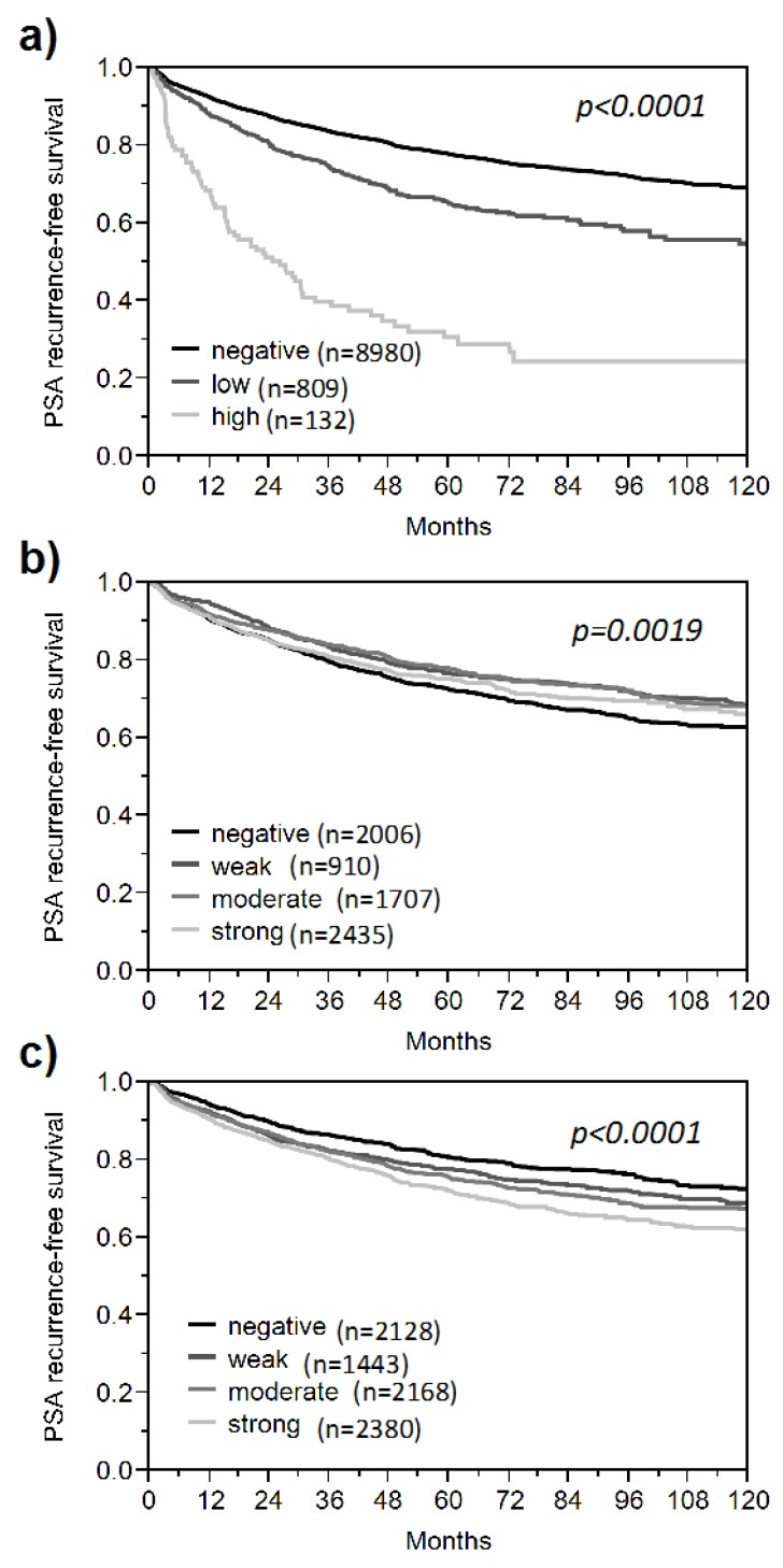 Qualitative and Quantitative Requirements for Assessing Prognostic Markers in Prostate Cancer.
