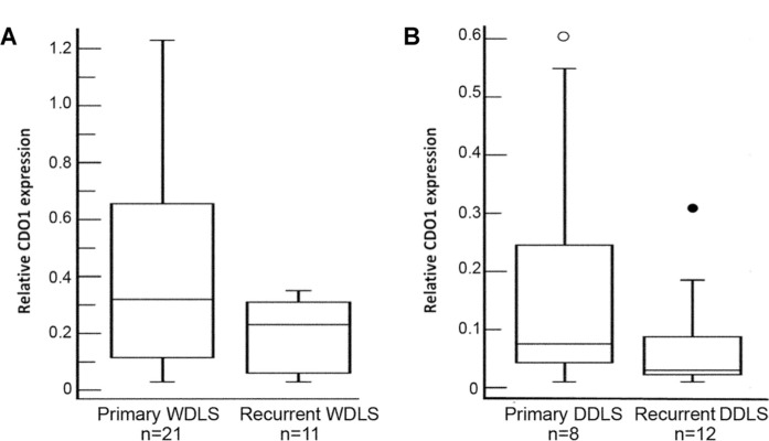 Differential expression of cysteine dioxygenase 1 in complex karyotype liposarcomas.