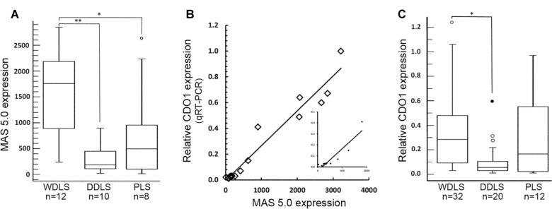 Differential expression of cysteine dioxygenase 1 in complex karyotype liposarcomas.