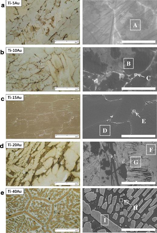 Effect of gold addition on the microstructure, mechanical properties and corrosion behavior of Ti alloys