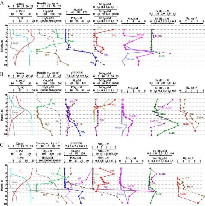 Biogeochemical consequences of an oxygenated intrusion into an anoxic fjord