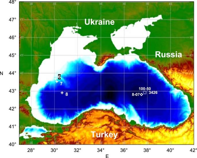 Stable isotope evidence for the Bottom Convective Layer homogeneity in the Black Sea