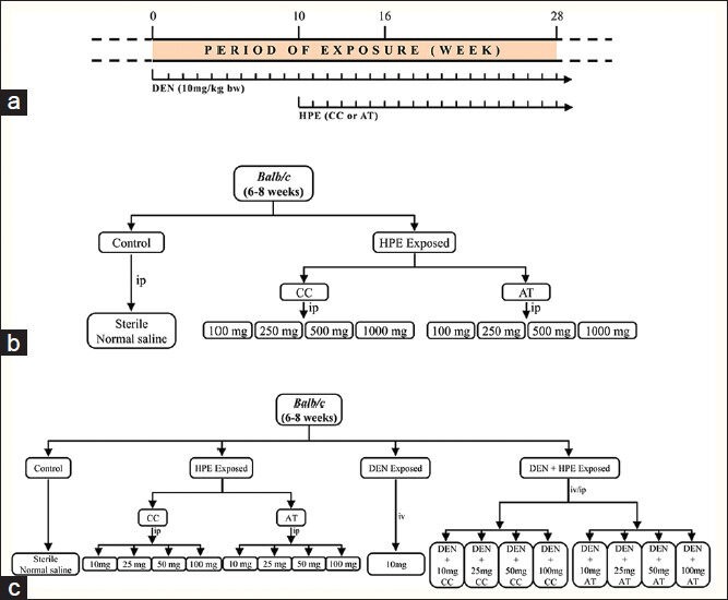 Inhibitory potential of methanolic extracts of Aristolochia tagala and Curcuma caesia on hepatocellular carcinoma induced by diethylnitrosamine in BALB/c mice.