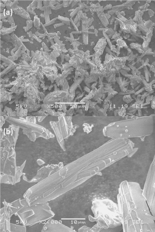 Ionic Liquid assisted Synthesis of Zeolite-TON.