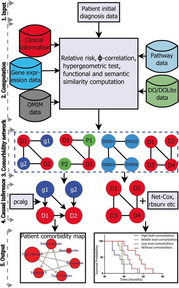 comoR: a software for disease comorbidity risk assessment.