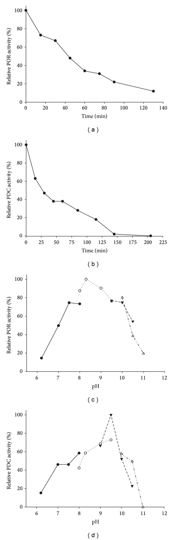 The bifunctional pyruvate decarboxylase/pyruvate ferredoxin oxidoreductase from Thermococcus guaymasensis.