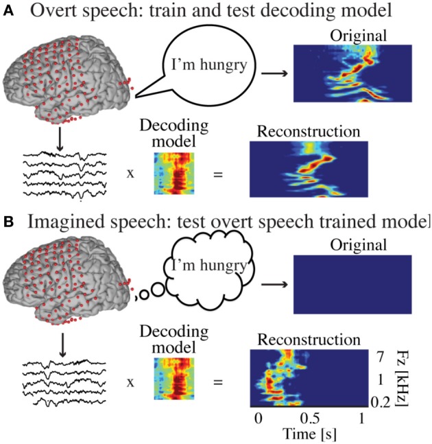 Decoding spectrotemporal features of overt and covert speech from the human cortex.