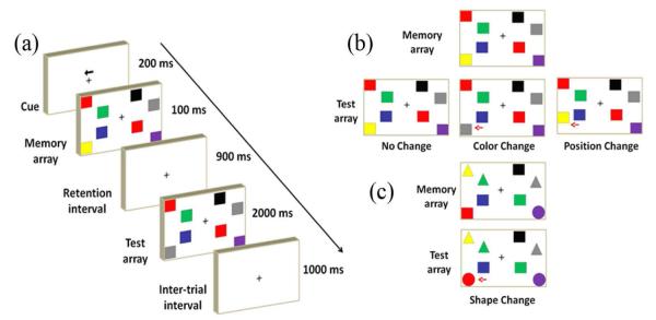 Long-Term Electrophysiological and Behavioral Analysis on the Improvement of Visual Working Memory Load, Training Gains, and Transfer Benefits.