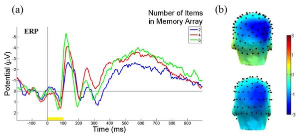 Long-Term Electrophysiological and Behavioral Analysis on the Improvement of Visual Working Memory Load, Training Gains, and Transfer Benefits.