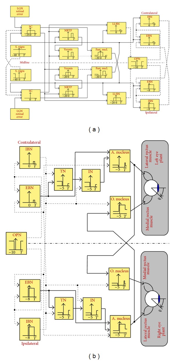 A physiological neural controller of a muscle fiber oculomotor plant in horizontal monkey saccades.