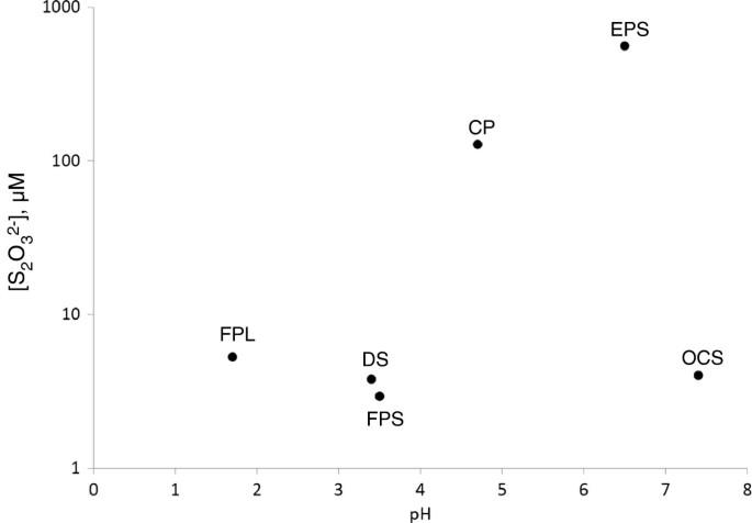 Multiple sulfur isotopes fractionations associated with abiotic sulfur transformations in Yellowstone National Park geothermal springs