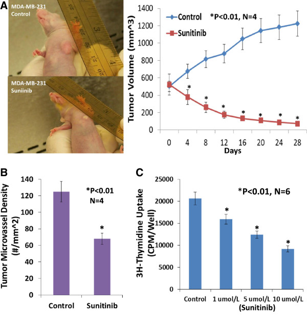 Sunitinib significantly suppresses the proliferation, migration, apoptosis resistance, tumor angiogenesis and growth of triple-negative breast cancers but increases breast cancer stem cells.