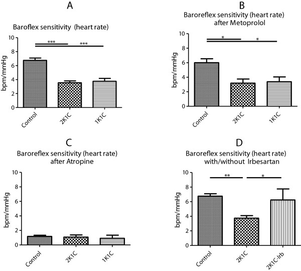 Sympathoactivation and rho-kinase-dependent baroreflex function in experimental renovascular hypertension with reduced kidney mass.