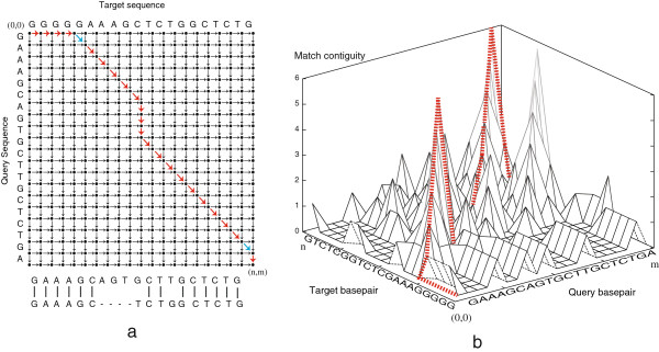 Modular and configurable optimal sequence alignment software: Cola.