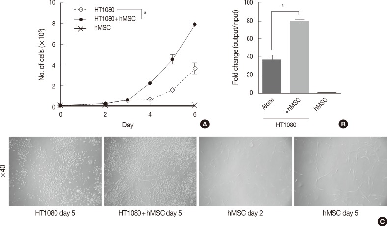 Mesenchymal stromal cells promote tumor progression in fibrosarcoma and gastric cancer cells.