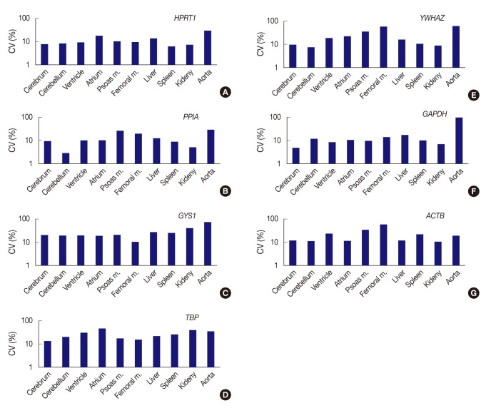 Evaluation of Protein Expression in Housekeeping Genes across Multiple Tissues in Rats.