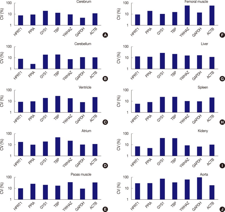 Evaluation of Protein Expression in Housekeeping Genes across Multiple Tissues in Rats.