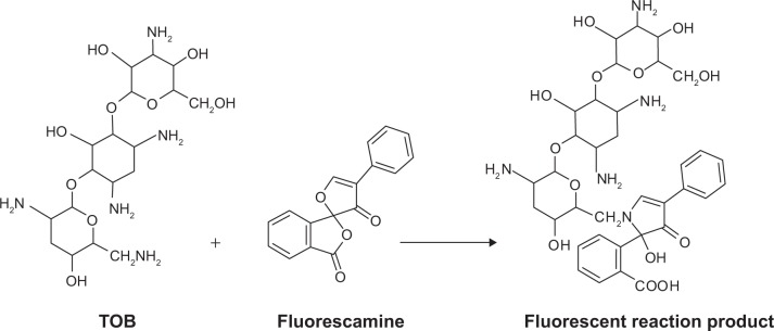 Corrigendum to "Utility of Experimental Design in Pre-Column Derivatization for the Analysis of Tobramycin by HPLC-Fluorescence Detection: Application to Ophthalmic Solution and Human Plasma".