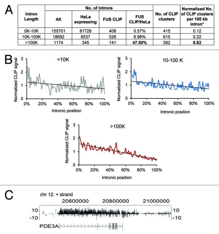 FUS-regulated RNA metabolism and DNA damage repair: Implications for amyotrophic lateral sclerosis and frontotemporal dementia pathogenesis.