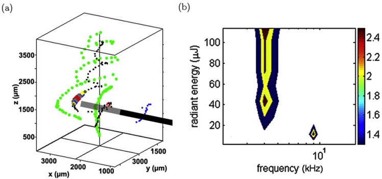 Optical Stimulation of Neurons.
