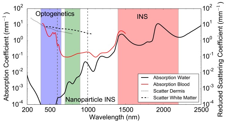 Optical Stimulation of Neurons.