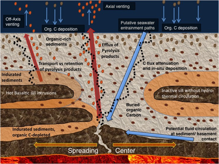 Biosphere frontiers of subsurface life in the sedimented hydrothermal system of Guaymas Basin.