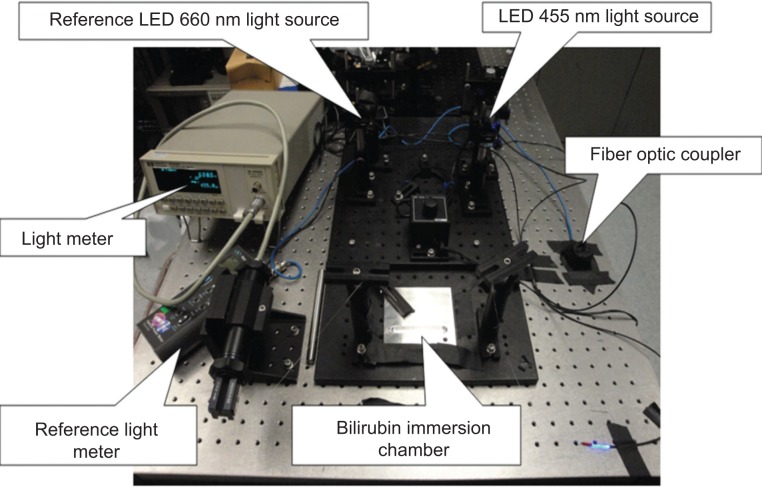 Preliminary development of a fiber optic sensor for measuring bilirubin.