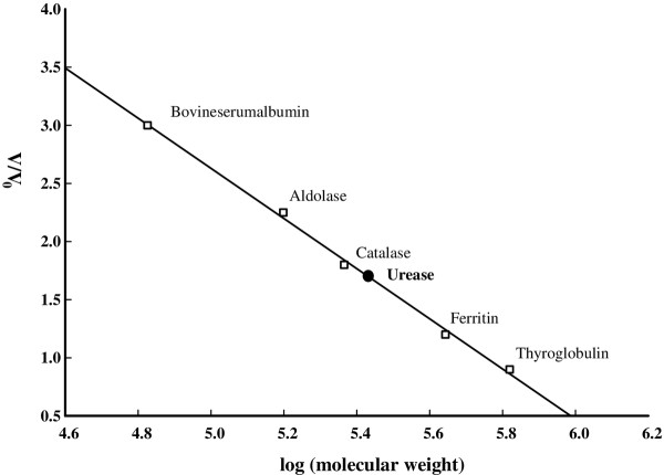 Extraction, purification, kinetic and thermodynamic properties of urease from germinating Pisum Sativum L. seeds.