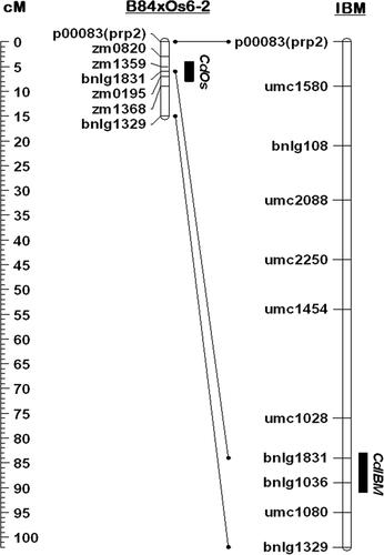 Quantitative trait loci mapping of metal concentrations in leaves of the maize IBM population