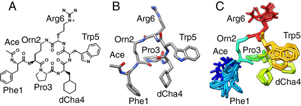 Insights into the mechanism of C5aR inhibition by PMX53 via implicit solvent molecular dynamics simulations and docking.