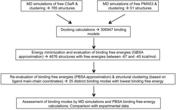 Insights into the mechanism of C5aR inhibition by PMX53 via implicit solvent molecular dynamics simulations and docking.