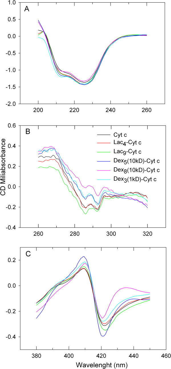 Chemical glycosylation of cytochrome c improves physical and chemical protein stability.