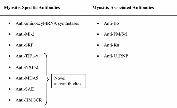 Myositis autoantibodies and clinical phenotypes.