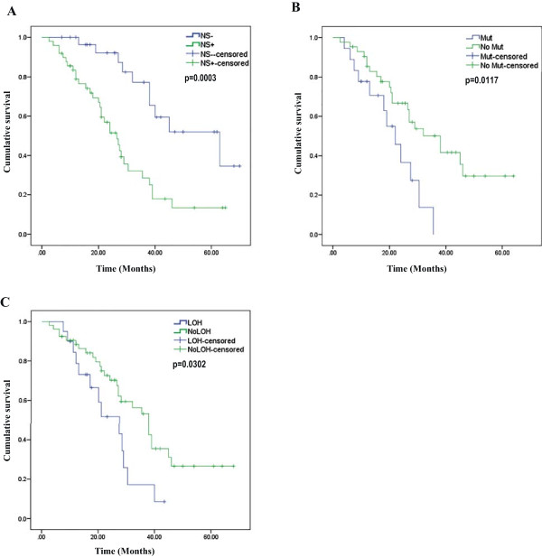 P53 nuclear stabilization is associated with FHIT loss and younger age of onset in squamous cell carcinoma of oral tongue.