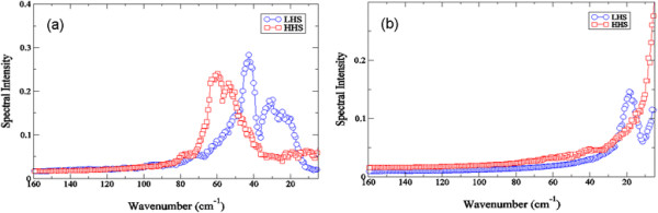 The glassy state of crambin and the THz time scale protein-solvent fluctuations possibly related to protein function.