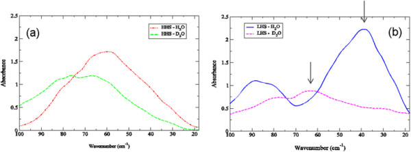 The glassy state of crambin and the THz time scale protein-solvent fluctuations possibly related to protein function.