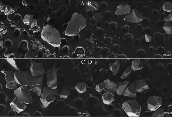 An improved pyrite pretreatment protocol for kinetic and isotopic studies