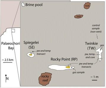 Sulfur and oxygen isotope insights into sulfur cycling in shallow-sea hydrothermal vents, Milos, Greece