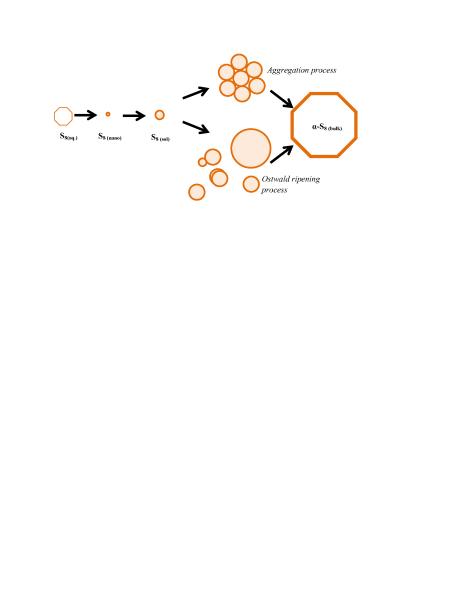 Elemental sulfur coarsening kinetics