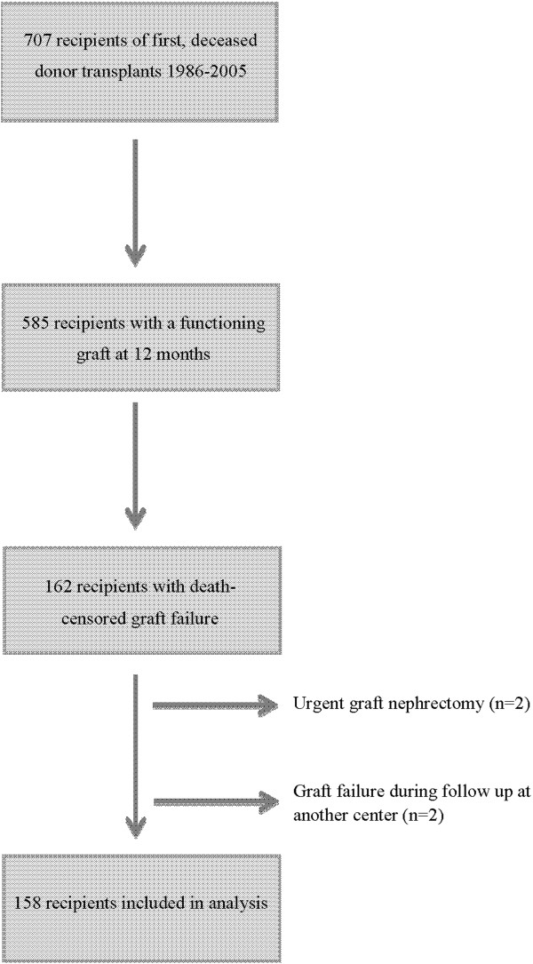 Factors influencing survival after kidney transplant failure.